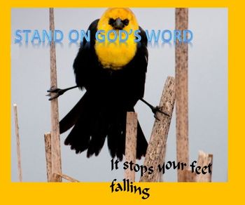 Stand on God's word, it stops your feet falling.
