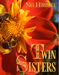 Twin Sisters tab book(PDF download)