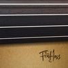 The Fretless: CD (2014)