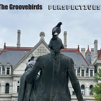 Perspectives  by The Groovebirds