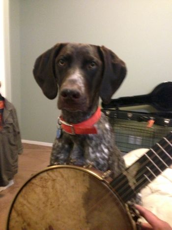 So now she want's to learn "pawhammer' banjo:)
