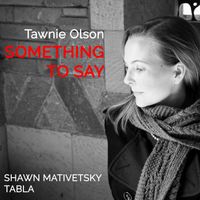 Something to Say by Shawn Mativetsky