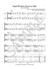 12 Christmas Carols for Easy Cello Duet - arranged by Alison Harbottle