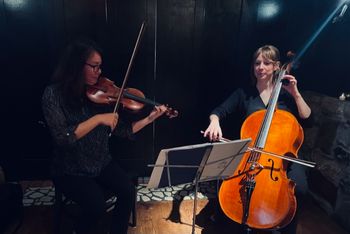 String Duo, Violin and Cello
Chicago, Illinois
