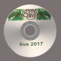 Live 2017 by Gypsy Reel