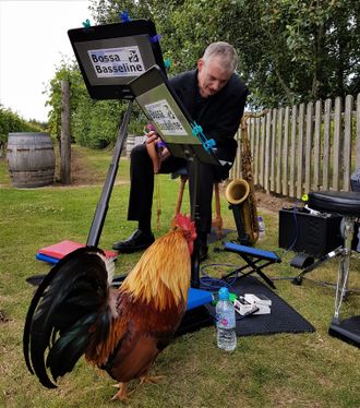 saxophonist and rooster on outdoor wedding drinks gig