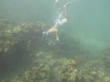 Freediving in Jamaica
