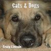Cats & Dogs: Craig Lincoln 2010 CD