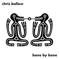 Bone By Bone by chris ballew