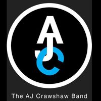 The AJ Crawshaw Band plays the Kapiti Food Fair