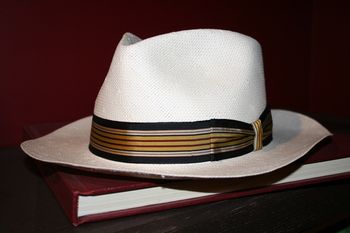 White Panama ~ a cool summer hat ~ ~ some might recognize this from the album cover ~
