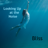 Looking Up at the Noise by Bliss