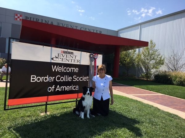 Women and a border collie in front of sign
