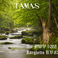 Air BWV 1068 / Larghetto RV 82 by Tamas Szekeres
