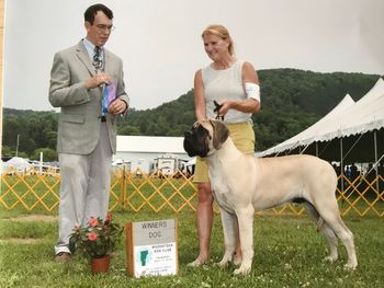 7 mos old - first show taking Winners dog all 4 days and Best of winners on Sunday
