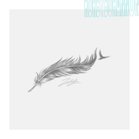 Feather in the Wind by Korby Bohannon