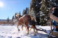 Lone Mountain Sleigh Ride Dinner