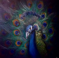 Peacock Original Oil Painting