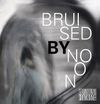 Bruised by Noon companion lyric photo book