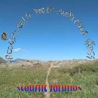 Acousti-Celti-Regga-Mericana-Grass by Acoustic Solution