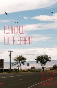 Pistachio & Lil' Elephant @ Bar Fluxus