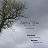 Mendelssohn: Trio in D minor, Op.49 / Beethoven: Trio in B flat, Op.11: CD