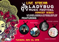 Ladybug Music Festival Concert Series