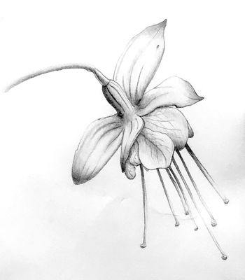 Pencil Work Single Flower
