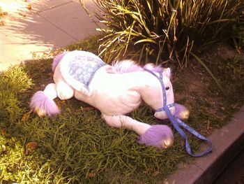 Unicorn on the Side of the Road
