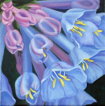 Virginia Bluebells, oil on canvas, 12"x12"
