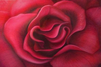 Luscious Rose, oil on linen 24"x36"
