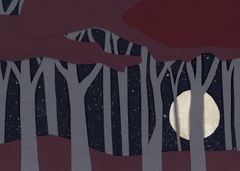 Moonlit Forest 5x7
