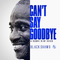 Can't Say Goodbye by Black Shawd