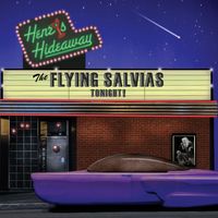 Henry's Hideaway by The Flying Salvias