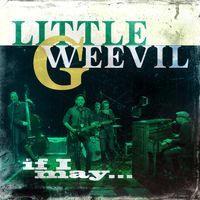 If I May... (2023) by Little G Weevil