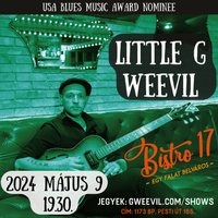 Little G Weevil solo show