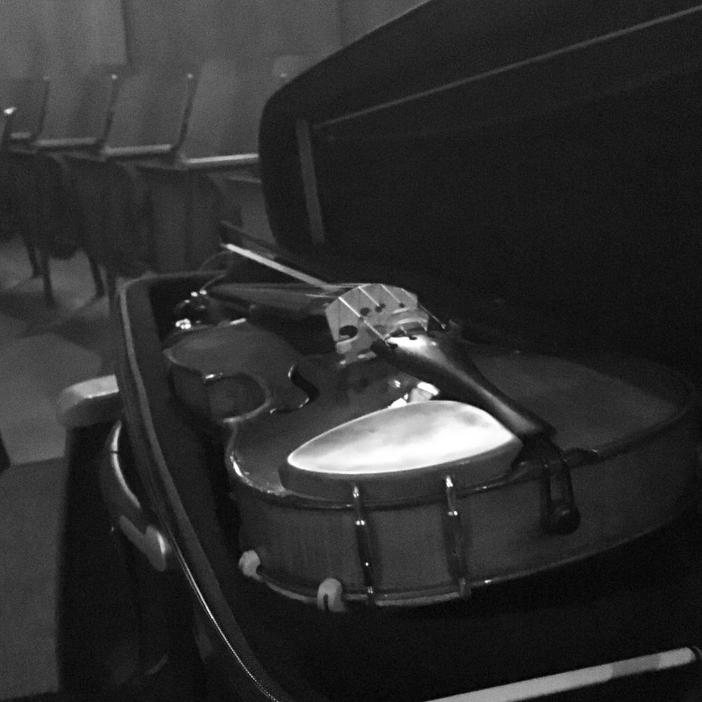 Viola in a case in a high school