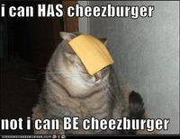 I Can Has Cheezeburger? [Cheeseburger Picnic]