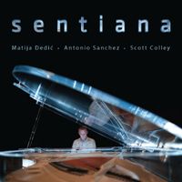 Sentiana by Matija Dedic