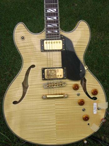 One of two nearly identical Washburn semi-hollow guitars that I own. This one (#S98043821) is a work in progress, upgraded with Seymour Duncan 59 pickups and an RMC piezo bridge pickup system.
