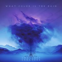 What Color Is the Rain - Digital Single