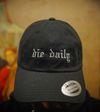 NEW! DIE DAILY DAD HATS