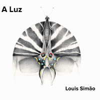 A LUZ by Louis Simão  
