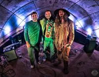 Cubensis plus special guests Endoplasmic