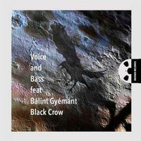 Black Crow by Voice and Bass feat.Gyemant Balint