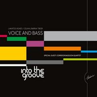 Into the groove by Voice and Bass