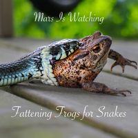 Fattening Frogs for Snakes by Mars Is Watching