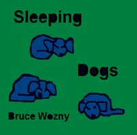 Sleeping Dogs: CD