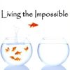 *NEW* Living The Impossible - Believing God for Miracles (1 CD)
