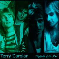 Playfields of the Mind by Terry Carolan